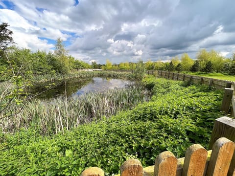 Spring, Natural landscape, Garden, Garden view