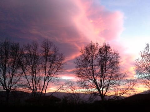 Garden view, Garden view, Sunset