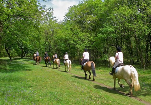 Nearby landmark, Horse-riding, Hiking