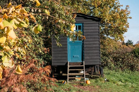 Beautiful, Secluded Shepherd's Hut in the National Park Campground/ 
RV Resort in Chichester District