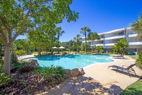 Cotton Beach on the Pool 66 House in Tweed Heads