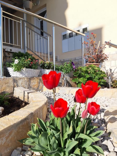 Property building, Patio, Garden