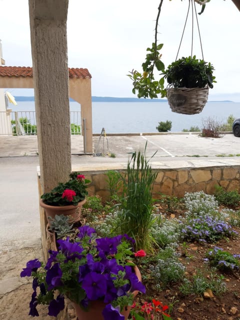 Garden, Sea view