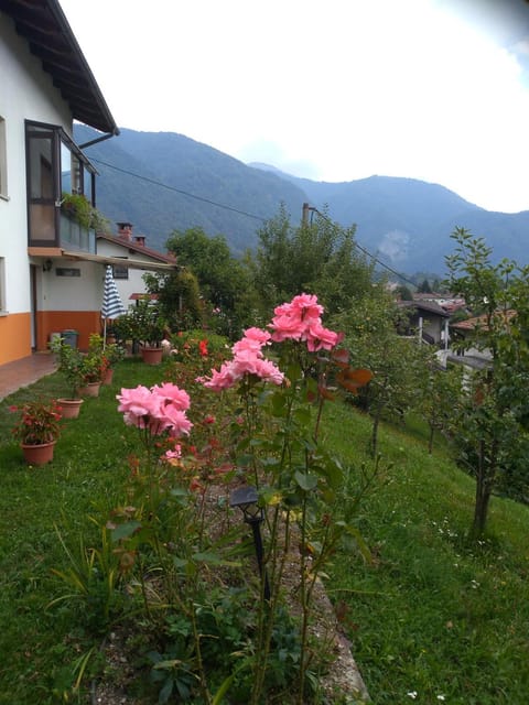 Garden, Other, Mountain view