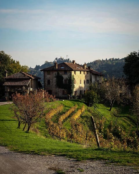 Property building, Spring, Day, Natural landscape