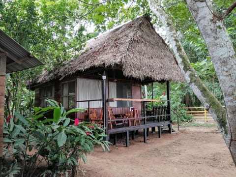 Tambopata River Lodge nature in Puerto Maldonado