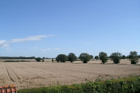 Yaxham Mill Bed and Breakfast in South Norfolk District