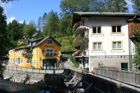 Property building, Facade/entrance, Summer, On site