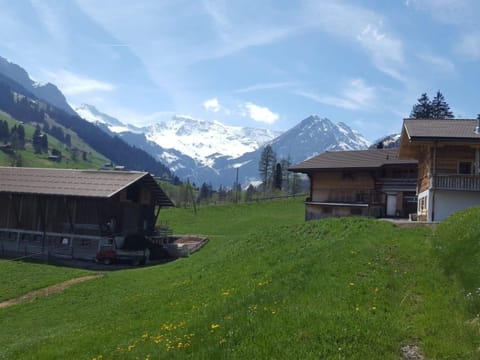 Apartment Chalet Wäschhüsi by Interhome Apartment in Adelboden