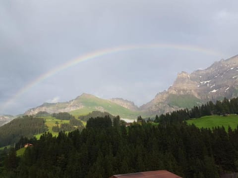 Apartment Chalet Wäschhüsi by Interhome Apartment in Adelboden