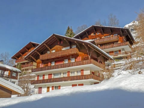 Apartment Plein Soleil by Interhome Apartment in Lauterbrunnen