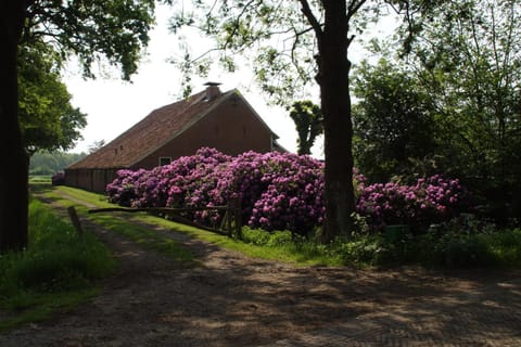 Huis Eedingh Bed and Breakfast in Vlagtwedde