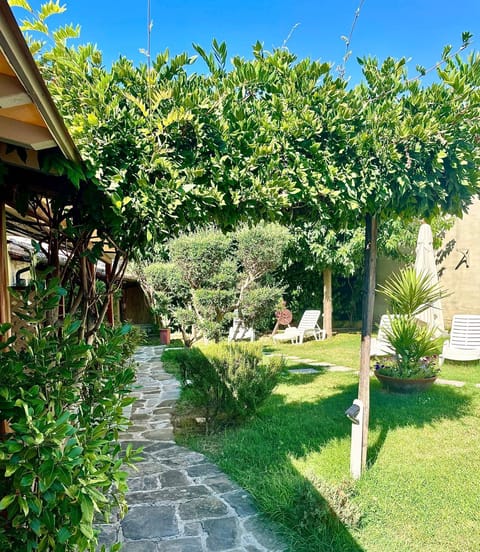 Property building, Day, Garden, Garden view