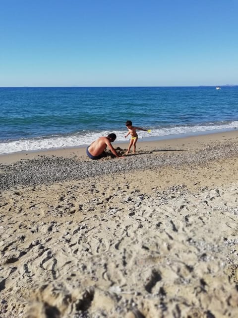 Natural landscape, Beach, Sea view, group of guests