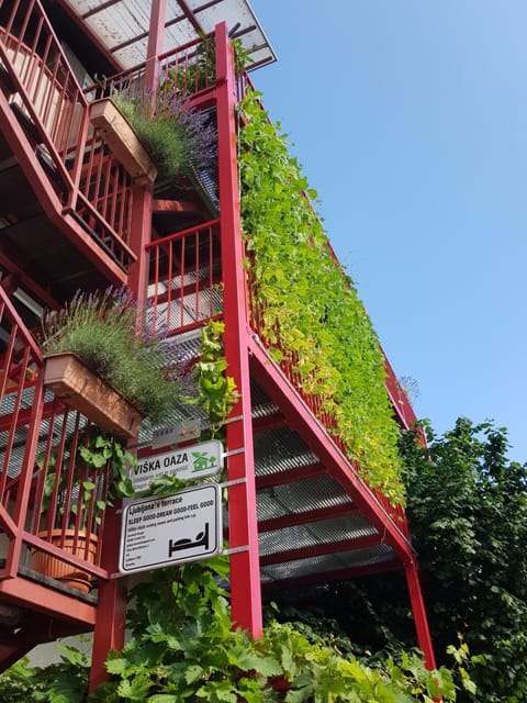 Ljubljana's terrace Condo in Ljubljana