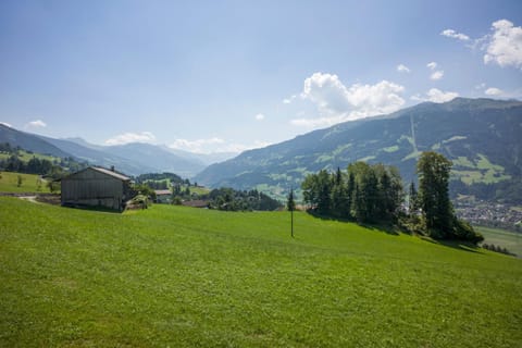 Haus Moidl Apartment in Tyrol