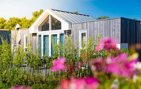 Property building, Spring, Day, Garden, Garden view