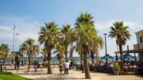 Beach, On site, Sea view