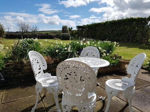 Patio, Garden, Garden view