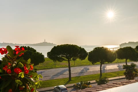 Day, Sea view