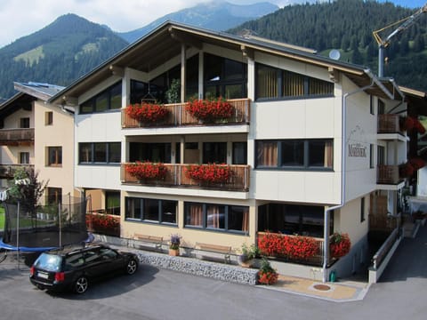 Bird's eye view, Summer