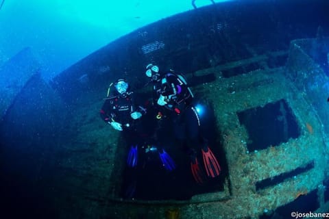 Activities, Diving