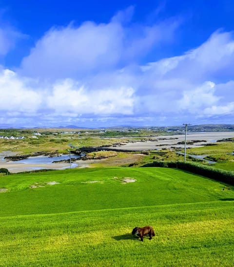 Property building, Natural landscape, Sea view