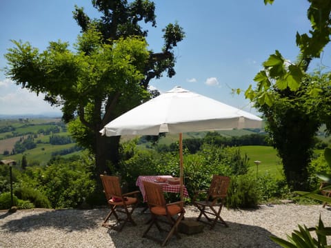 Garden, Mountain view