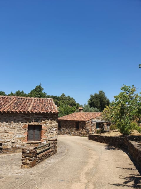 Property building, Day, Garden view