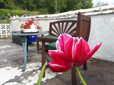 Patio, Spring, Balcony/Terrace