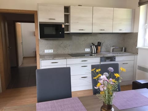 Apartman U sjezdovky Apartamento in Slovakia