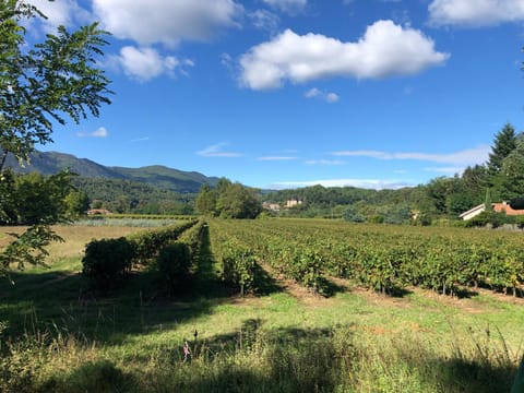 Natural landscape, Mountain view