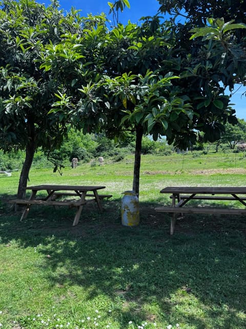 Agriturismo La Betulla Farm Stay in Canton of Ticino