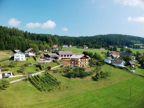 Neighbourhood, Bird's eye view, Garden, Garden view