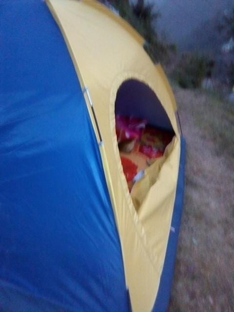 Dalhousian camping⛺⛺⛺⛺ Camping /
Complejo de autocaravanas in Himachal Pradesh