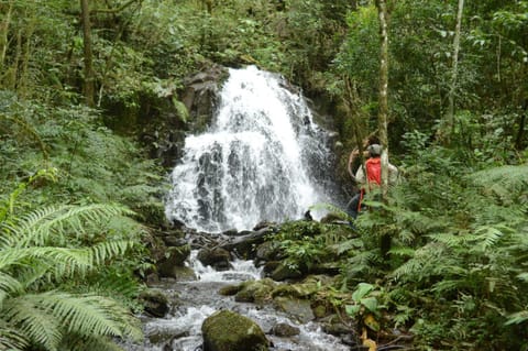 Margay - Reserva Natural y Lodge de Selva Nature lodge in Misiones Province, Argentina