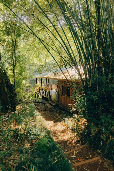 Margay - Reserva Natural y Lodge de Selva Nature lodge in Misiones Province, Argentina