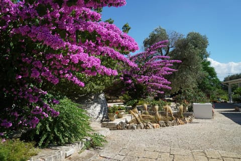 Garden, Garden view