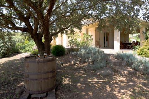 Villa bord de mer avec piscine chauffée Villa in Corsica