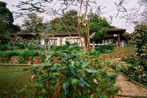 Patio, Balcony/Terrace