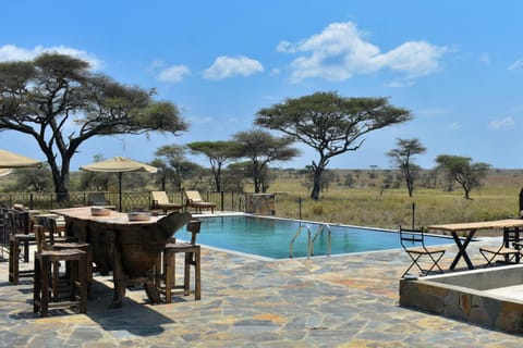 Serengeti Sametu Camp Natur-Lodge in Kenya