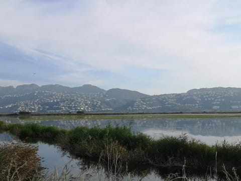 View (from property/room), Lake view