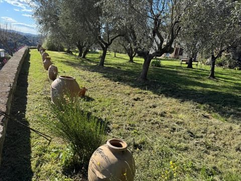 Le Camere Del Ceccottino Bed and Breakfast in Pitigliano