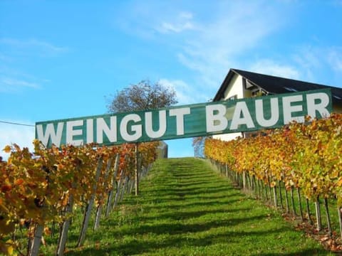 Ferienhaus Weingut Bauer House in Styria