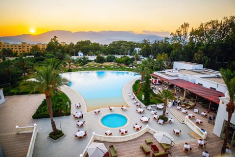 Garden, Lounge or bar, Swimming pool, Sunset