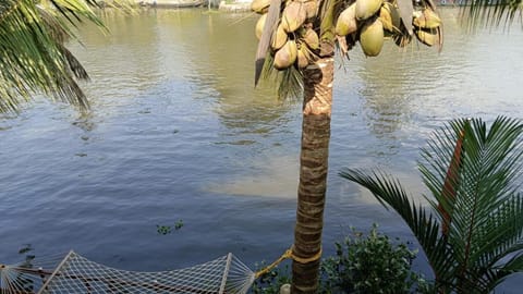 The Lake Paradise Boutique Resort Chambre d’hôte in Alappuzha