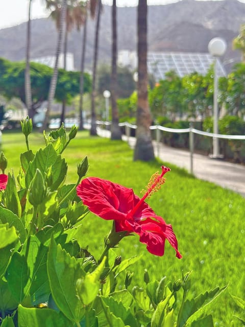 Spring, Natural landscape, Garden, Garden view