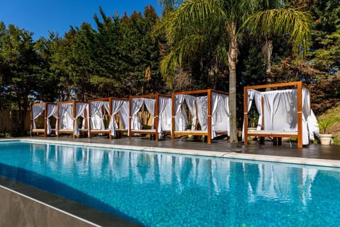 Pool view, Swimming pool, sunbed