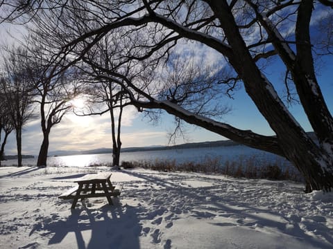 Lake view