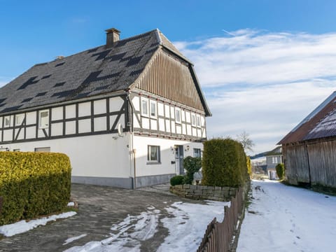 Flat near the ski area in Medebach Condo in Medebach